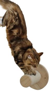 Kletterstufe Katzen Wand